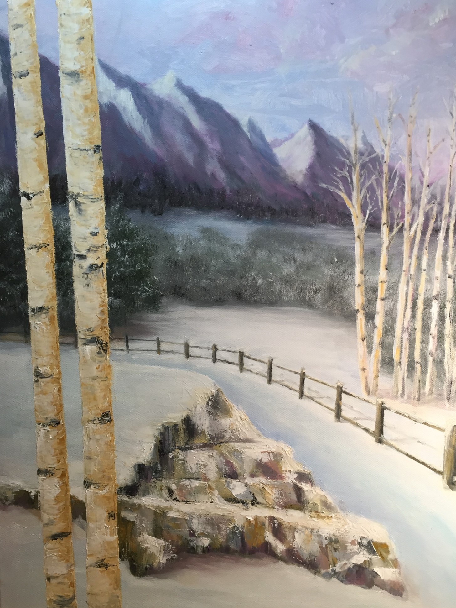 Birch In Winter
