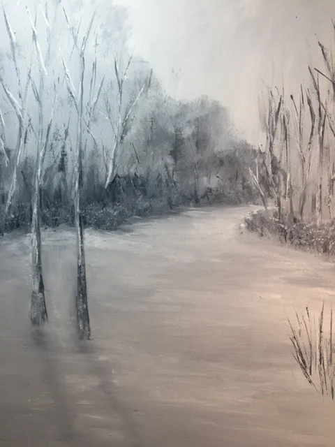 Allen Celebration Park Snow