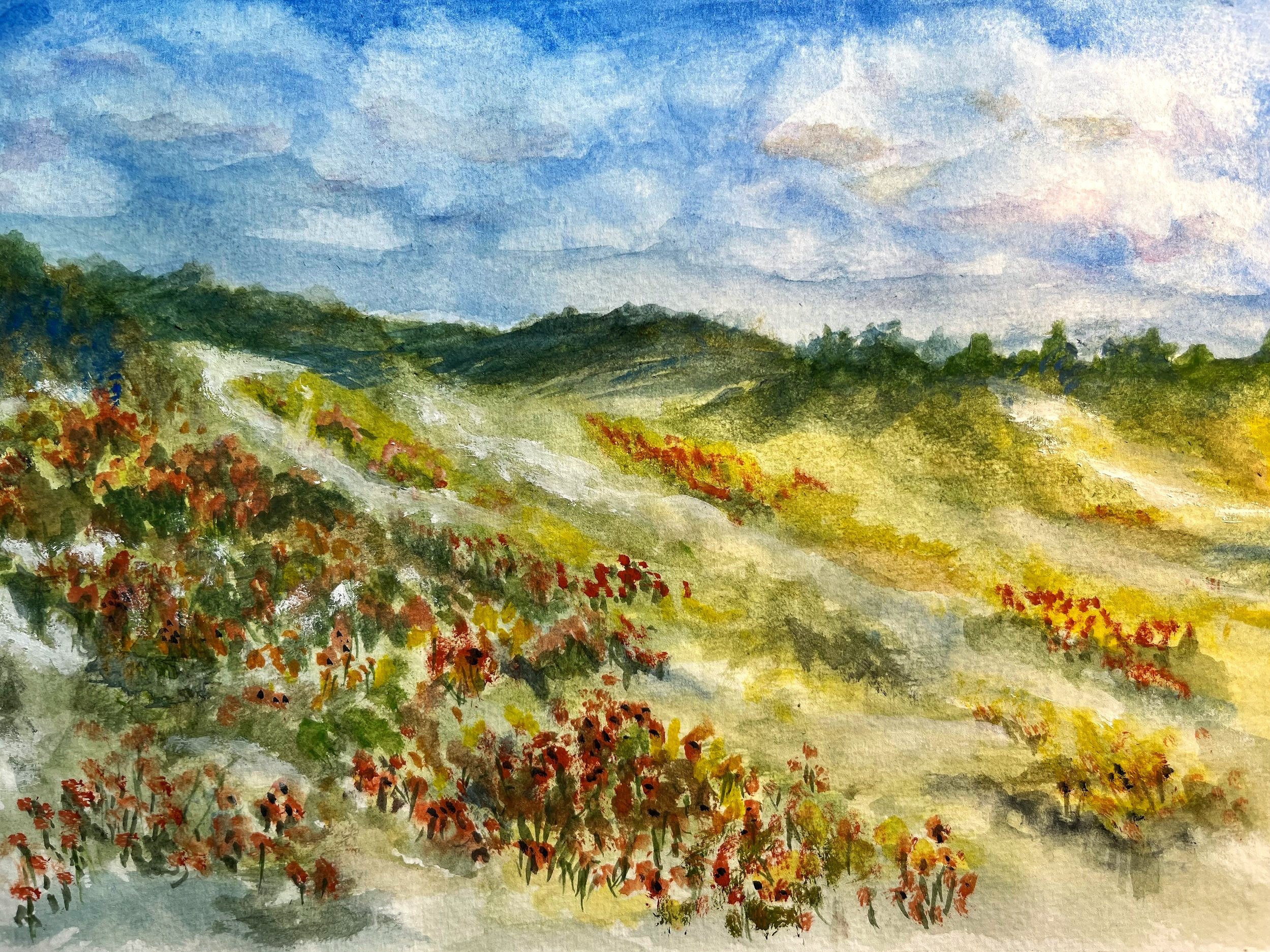 Water Color Study