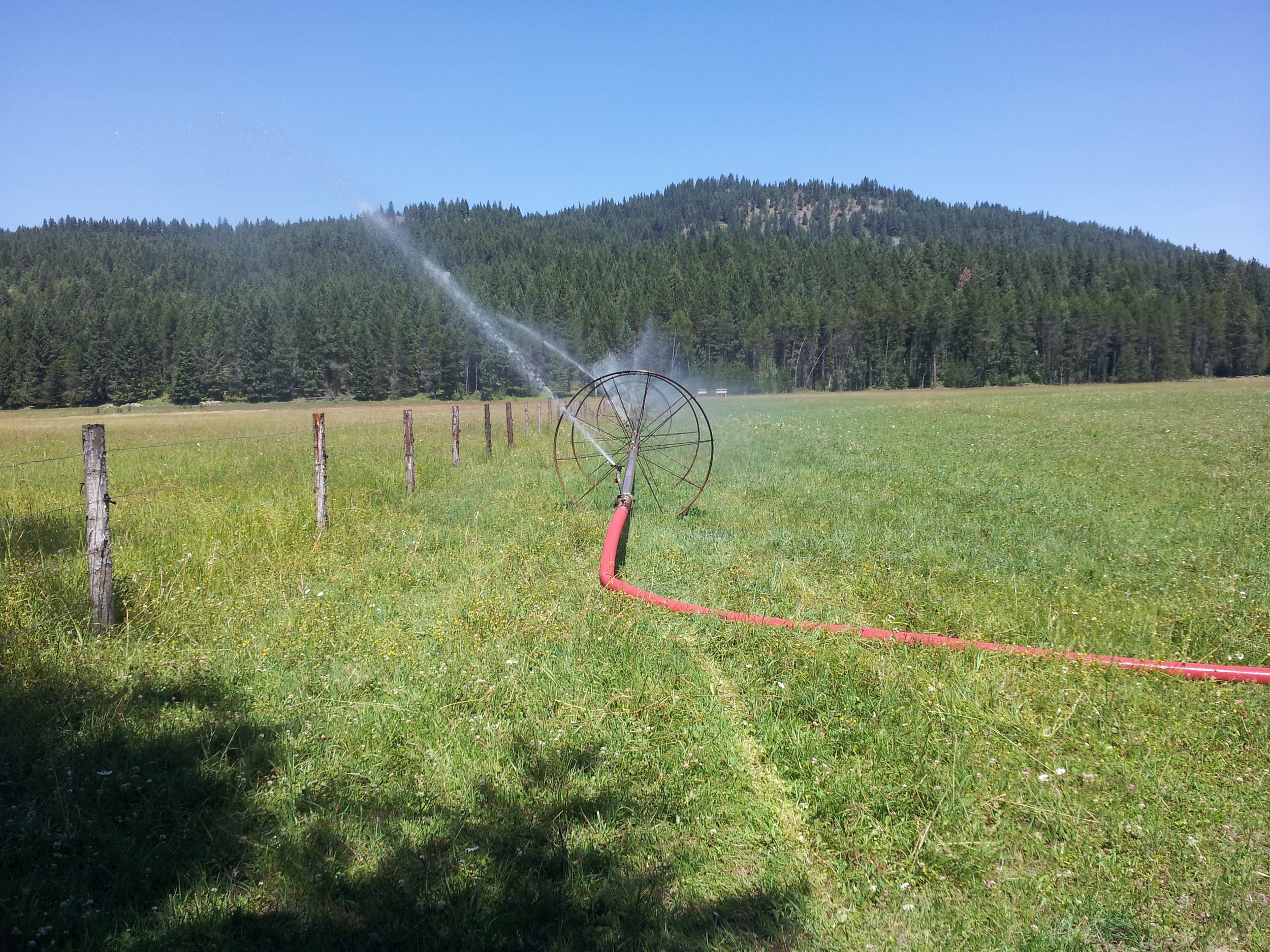 20130720_122918.jpg