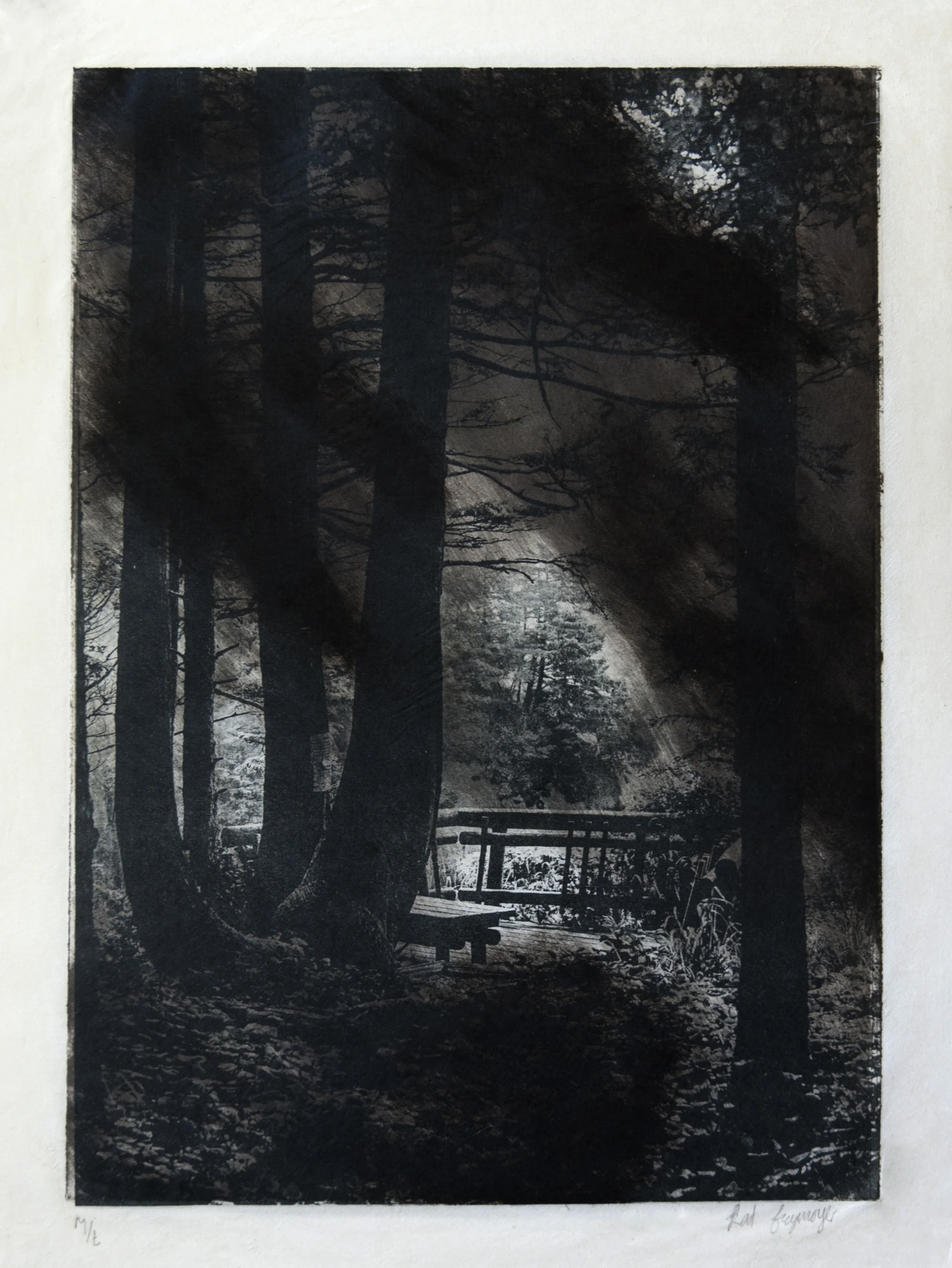 monotype-6 copy.jpg