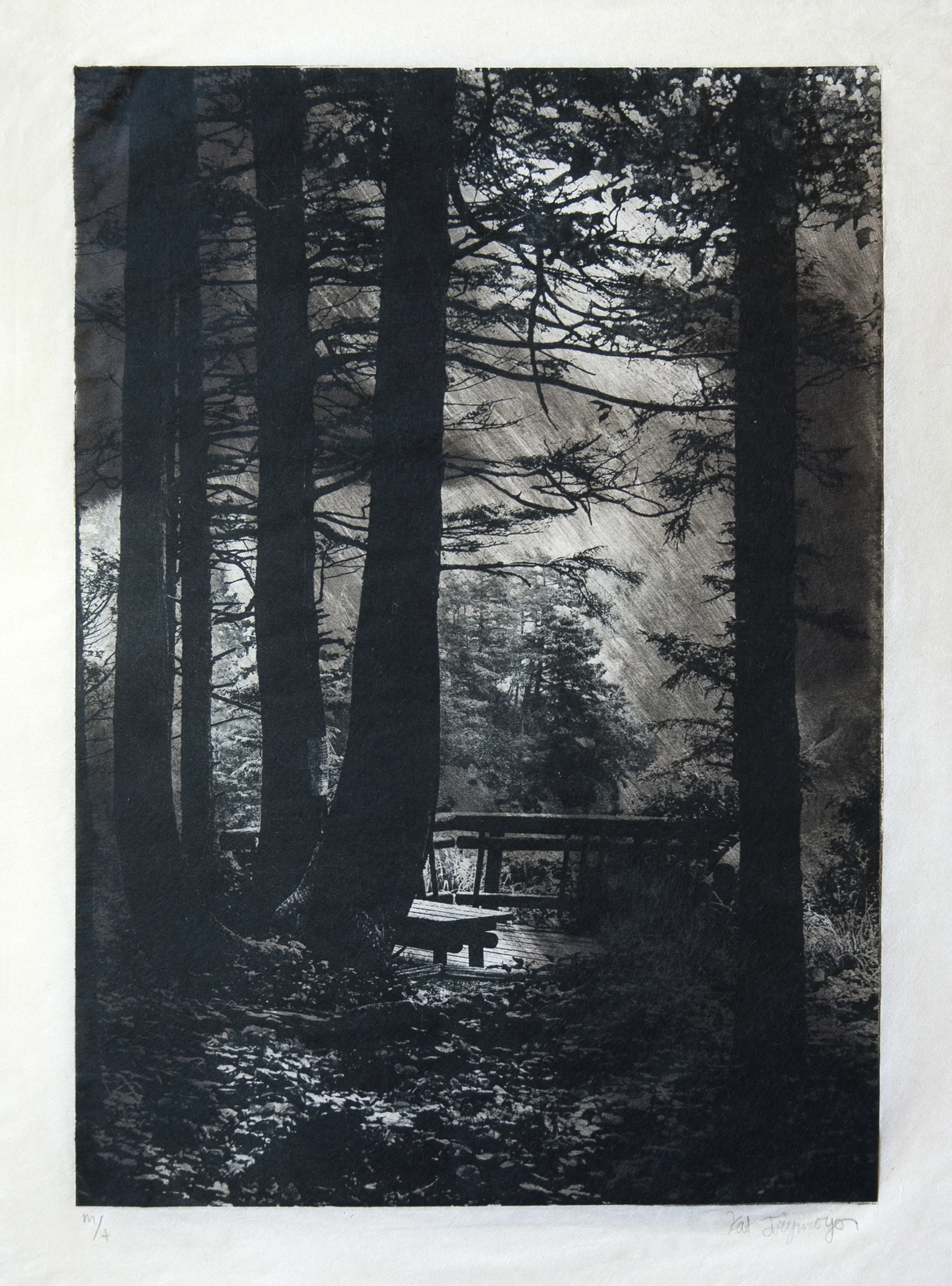 monotype-7 copy.jpg