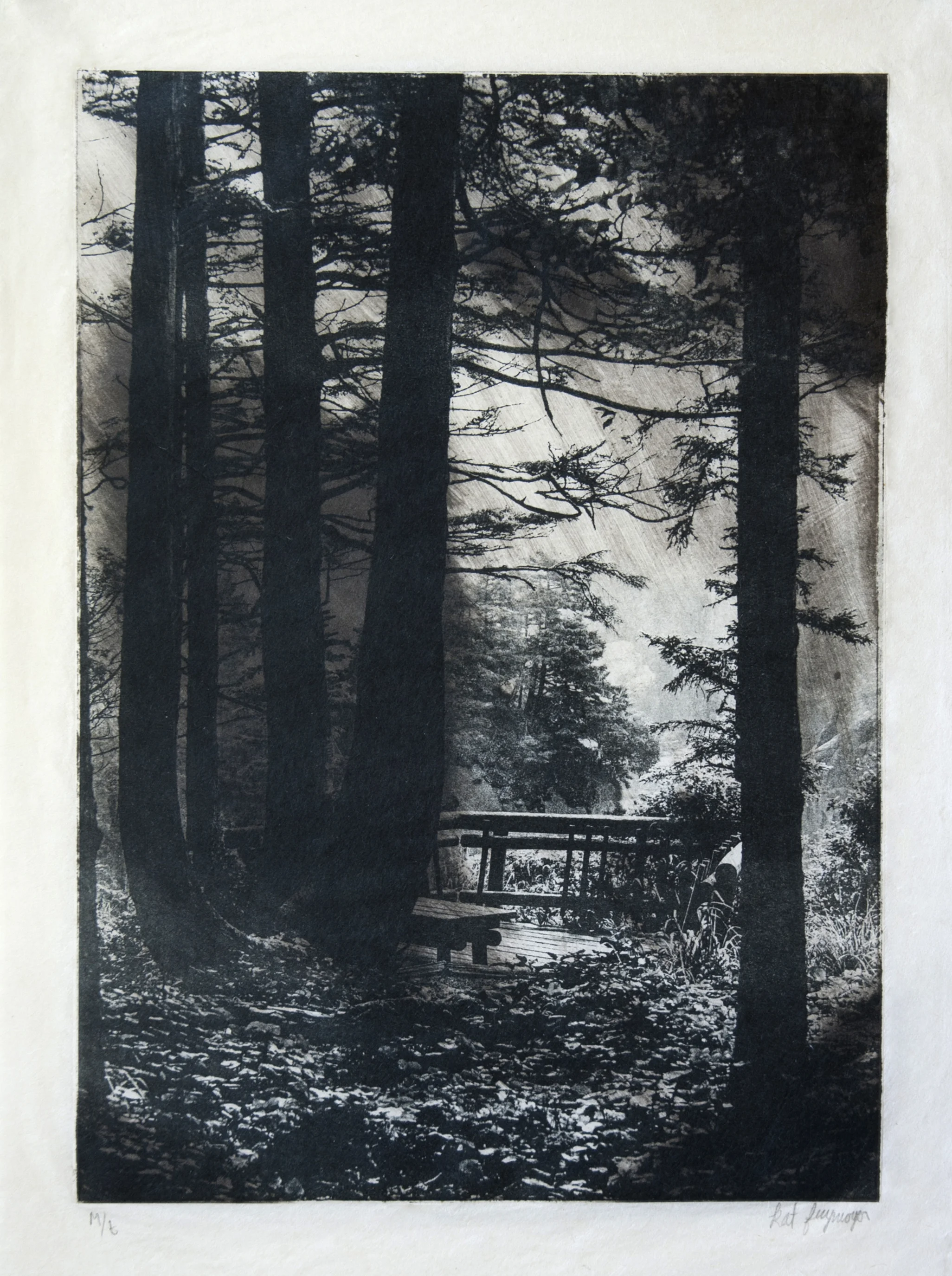 monotype-8 copy.jpg