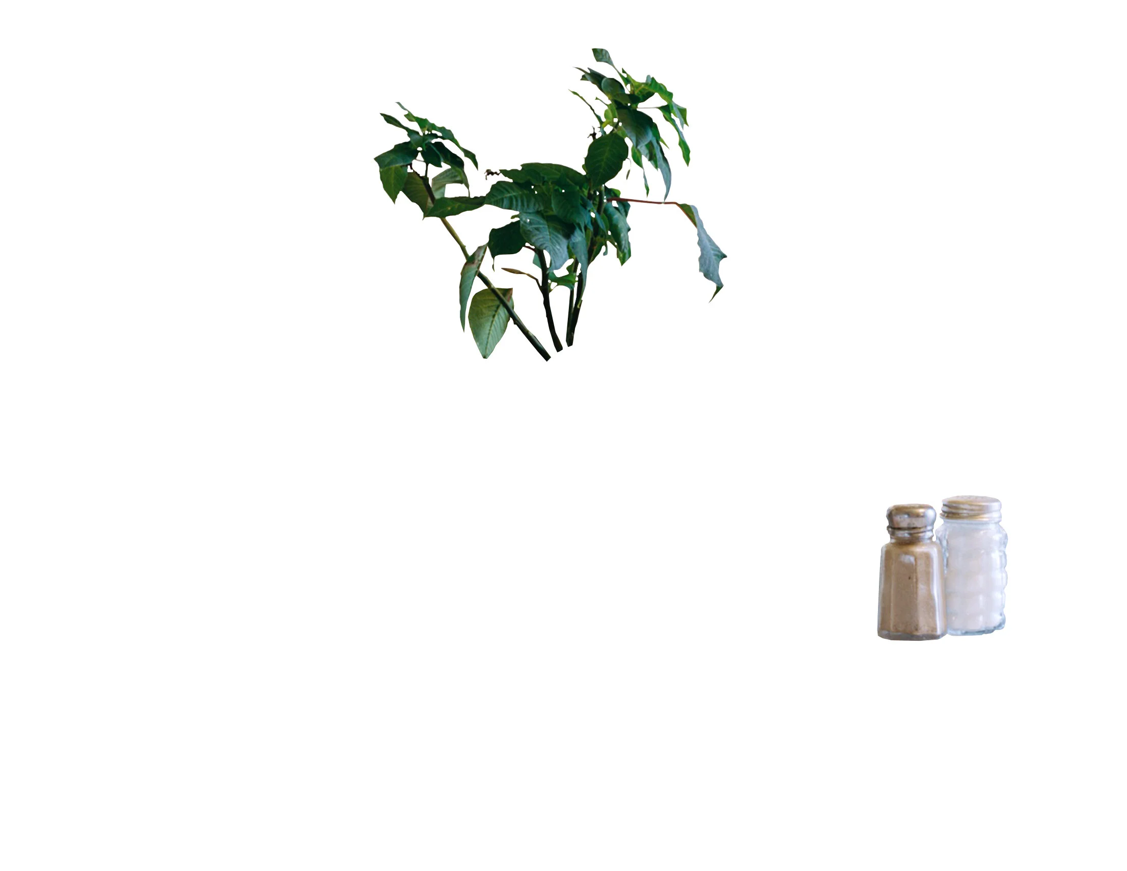 01-too-many-deer-kitchen-table.jpg