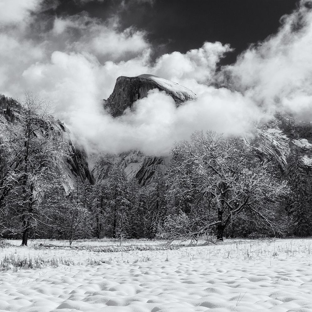 DSC_0052_bw.jpg