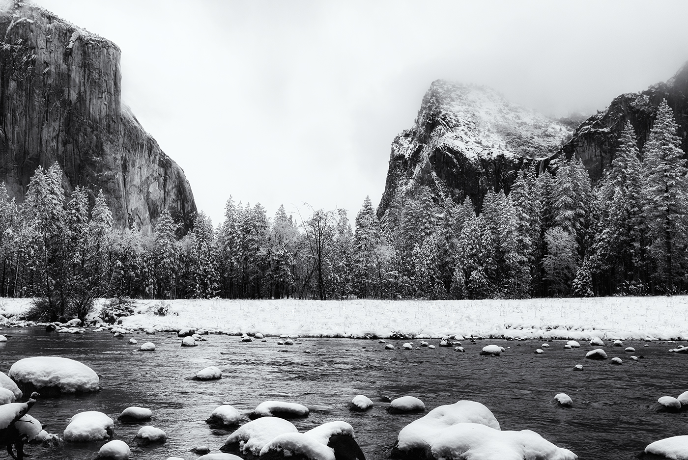 DSC_0034 bw.jpg