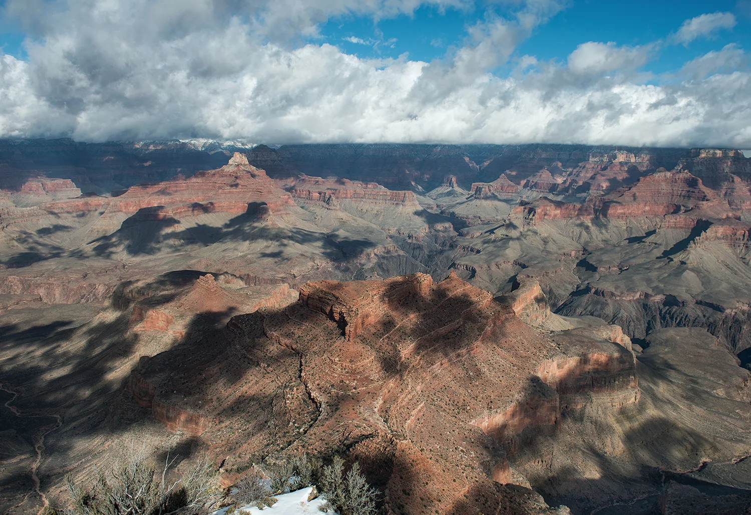 DSC_6694.jpg