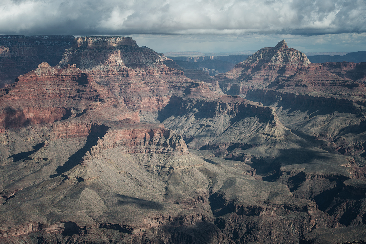 DSC_6700.jpg