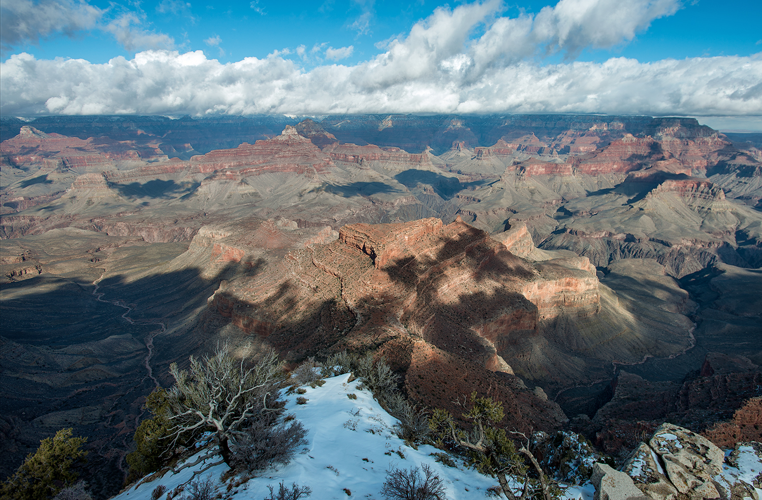 DSC_6703.jpg