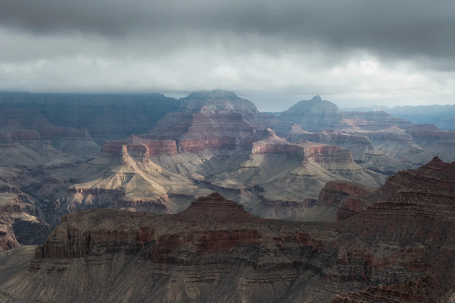 DSC_6813.jpg
