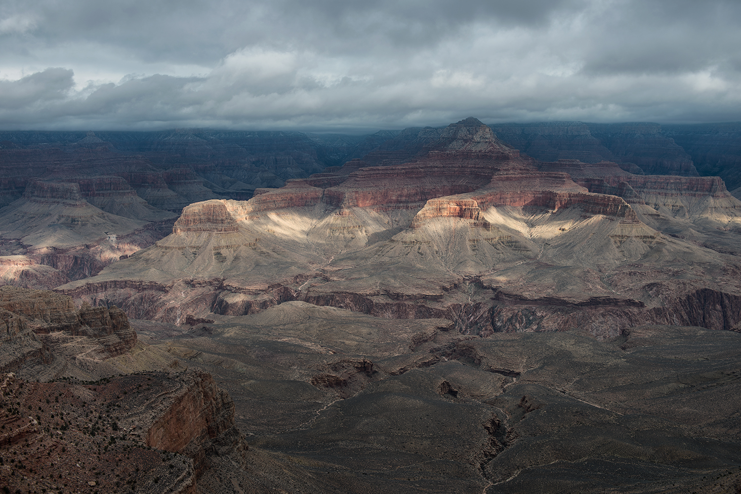 DSC_6818.jpg
