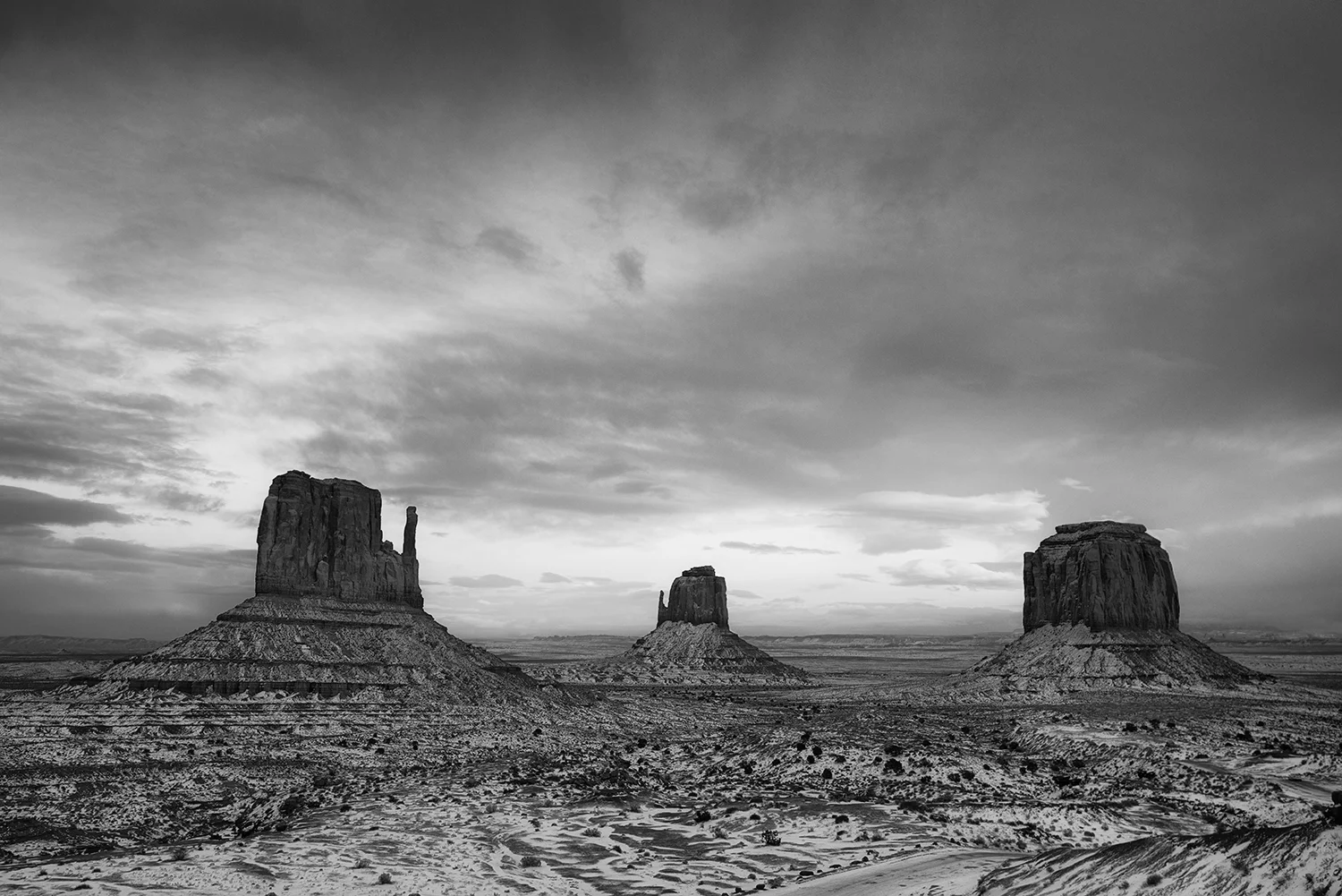 DSC_6992 bw.jpg