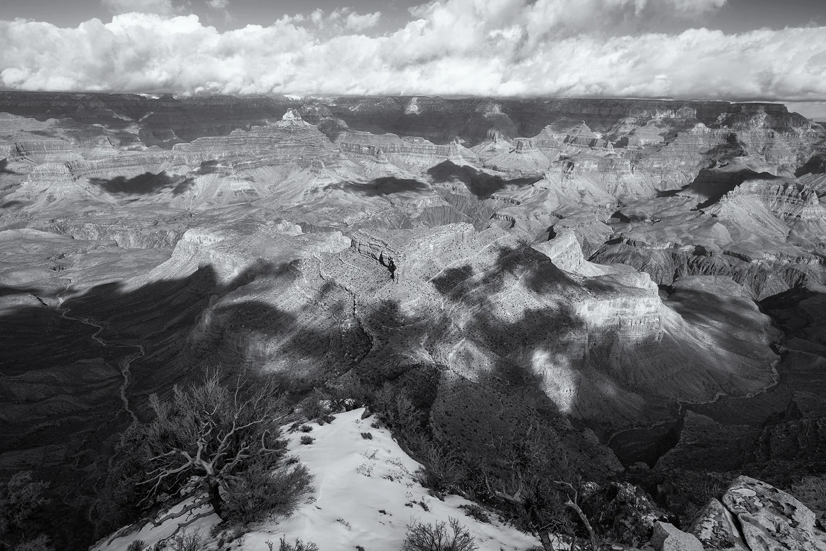 DSC_6704 bw.jpg