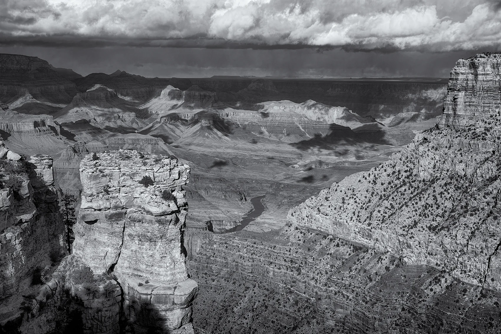 DSC_6719 bw.jpg