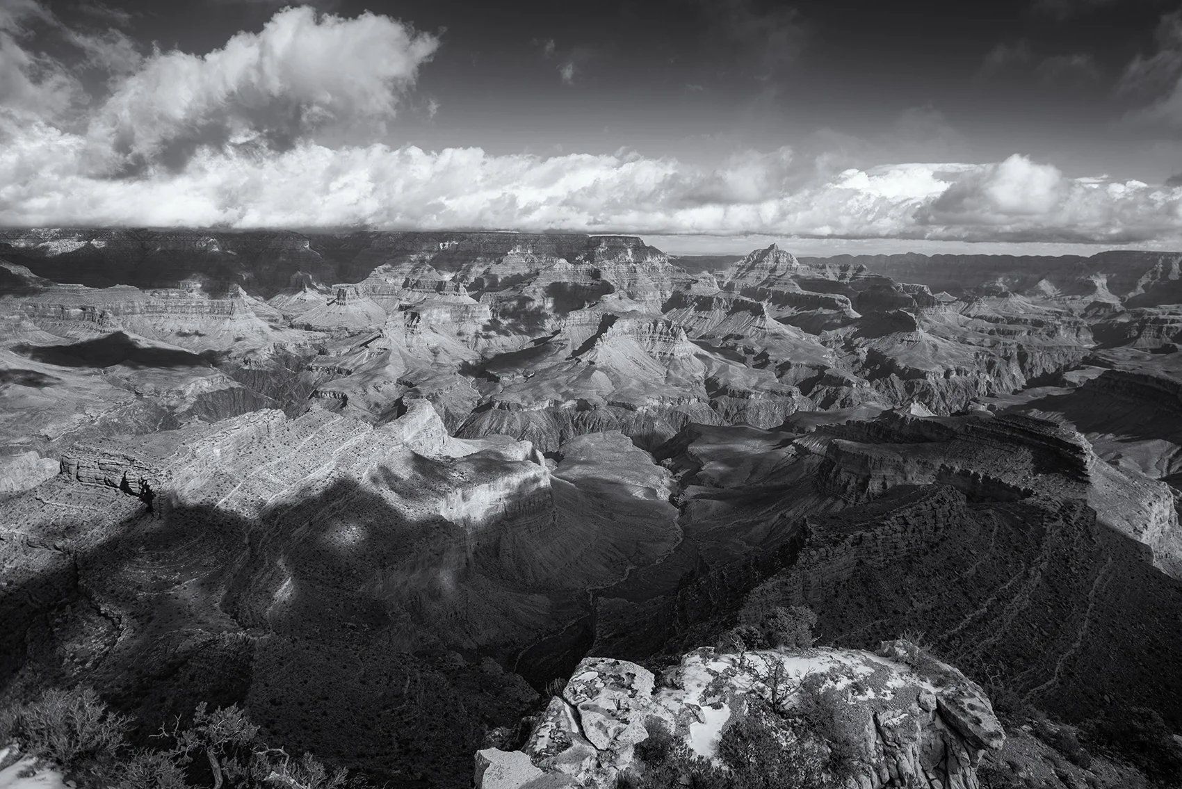 DSC_6701 bw.jpg