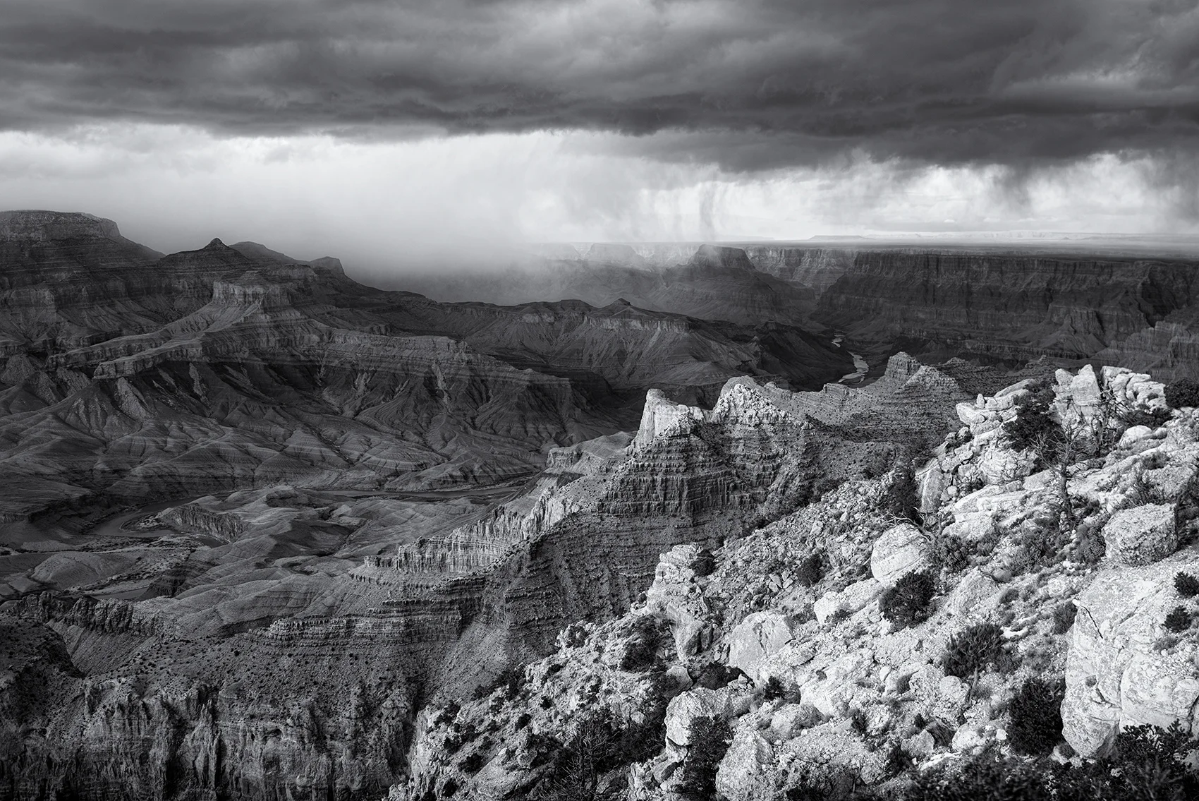 DSC_6771 bw.jpg
