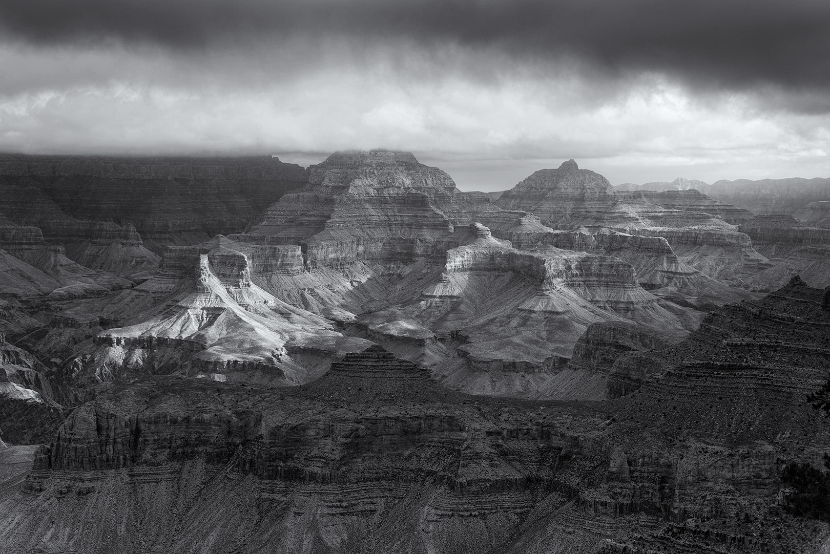 DSC_6813 bw.jpg