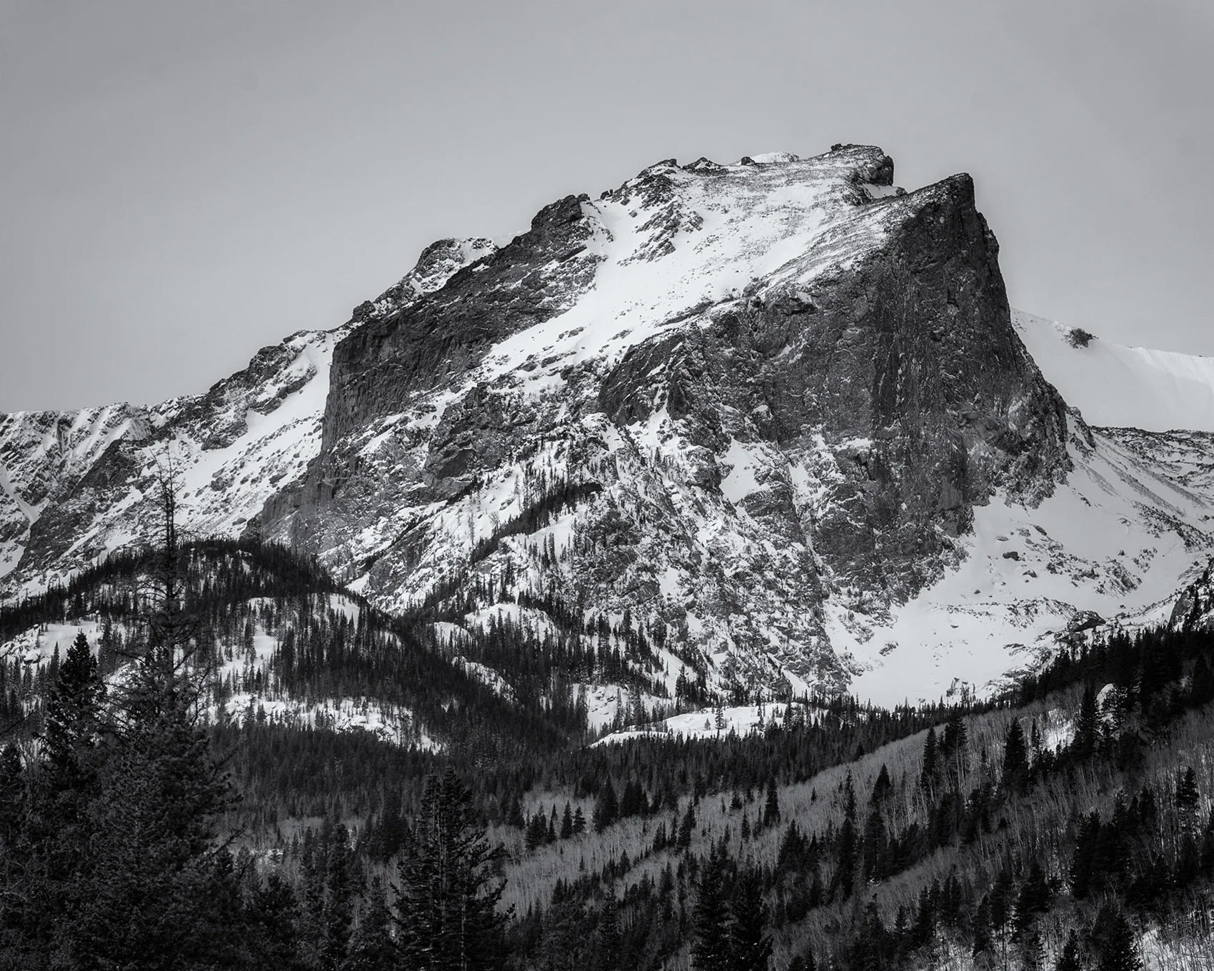 DSC_7882_2.jpg