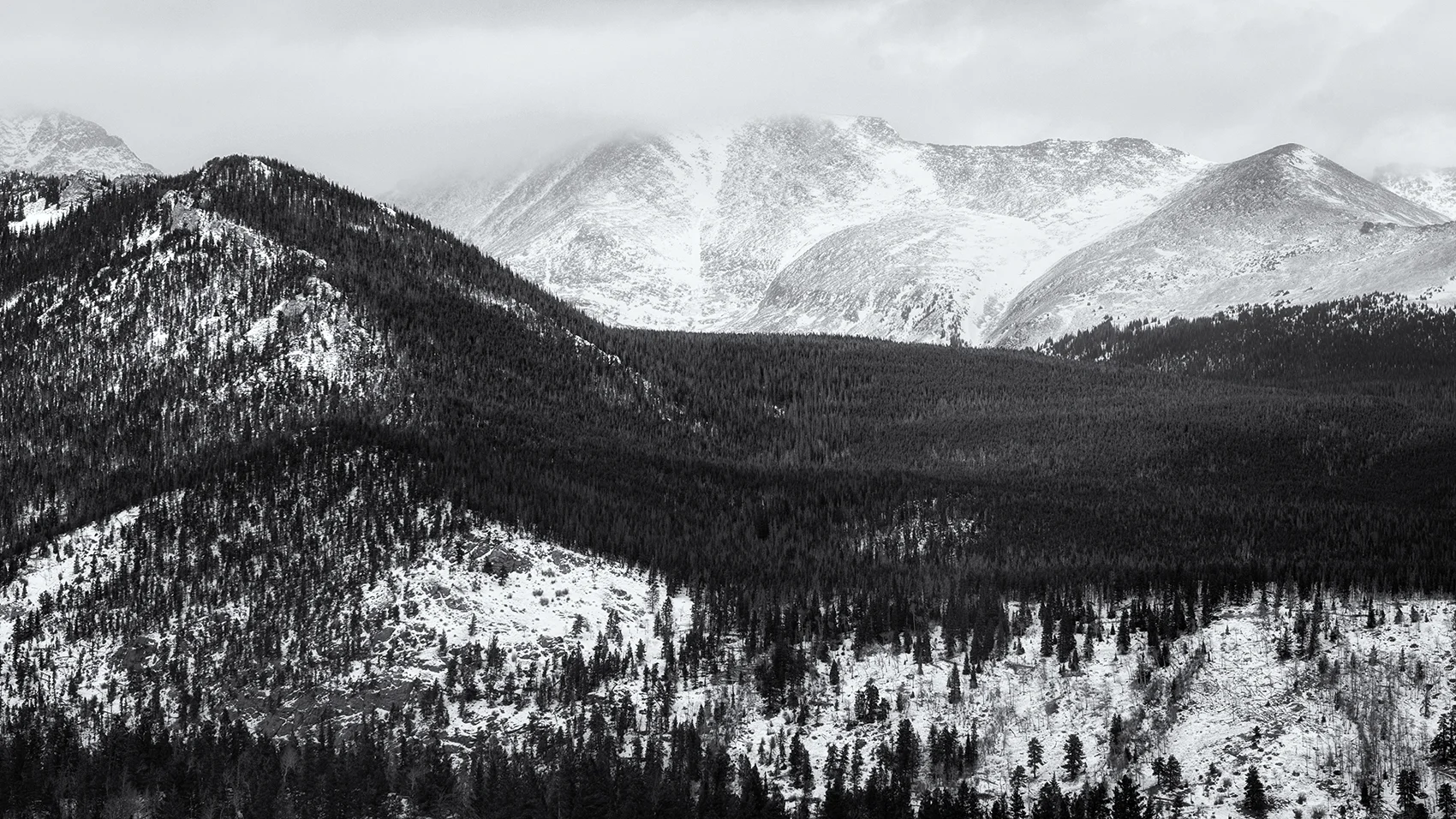 DSC_7922-2.jpg