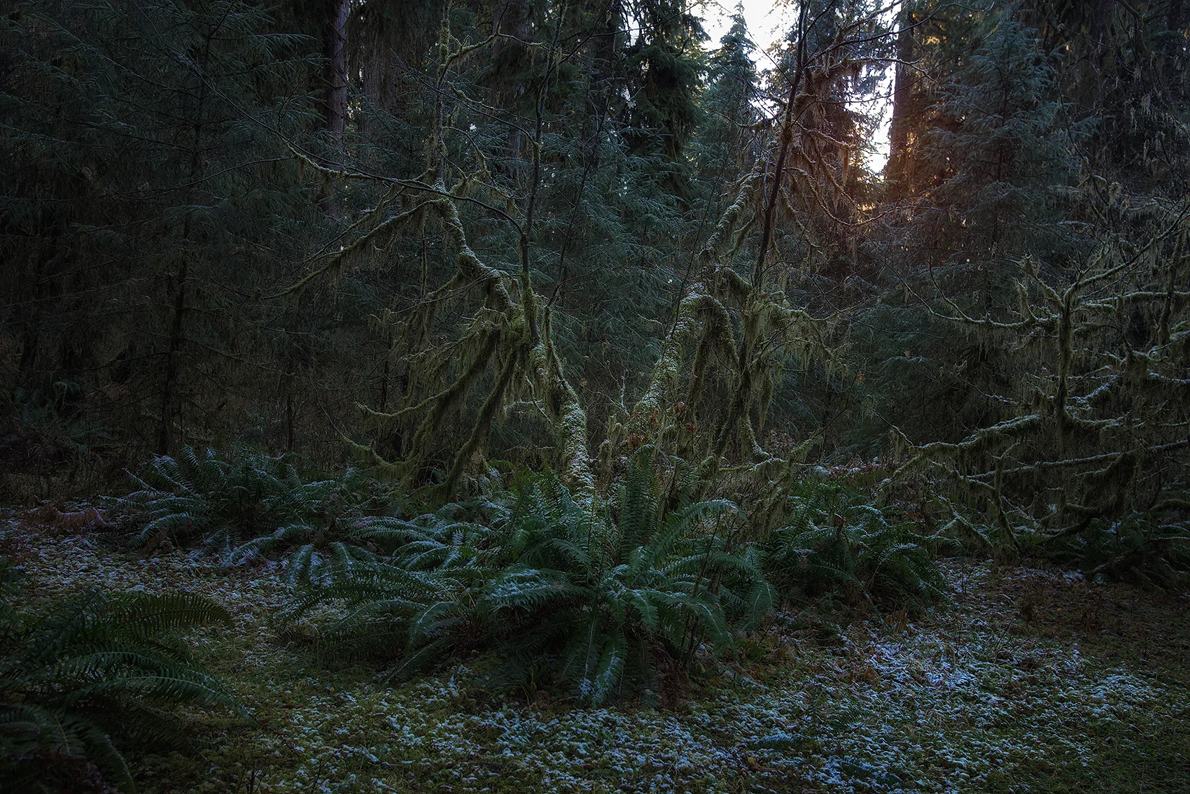 DSC_8656.jpg