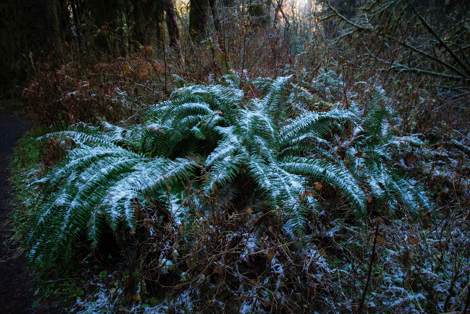 DSC_8653.jpg