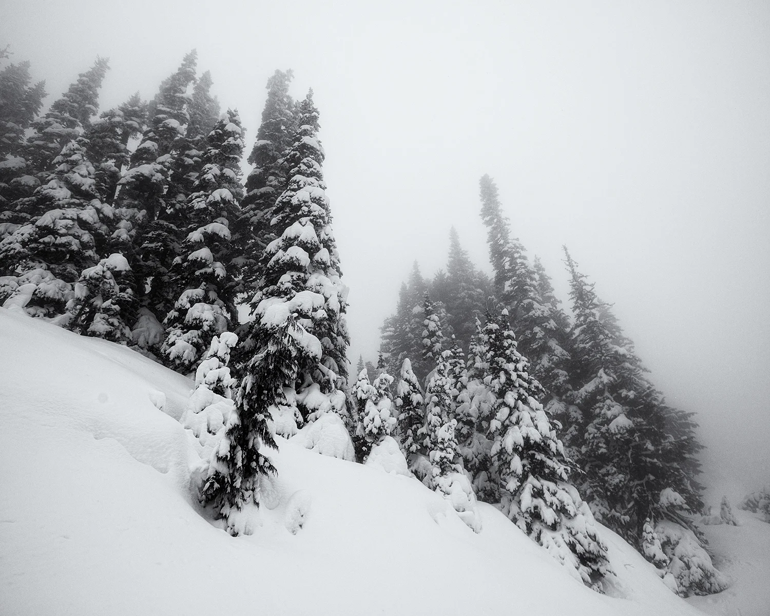 DSC_9085.jpg