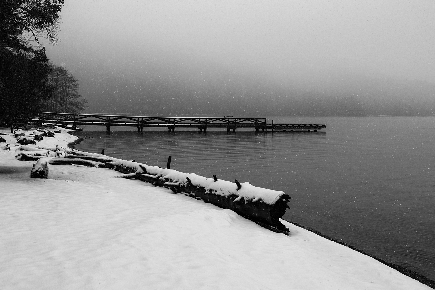 DSC_8545.jpg