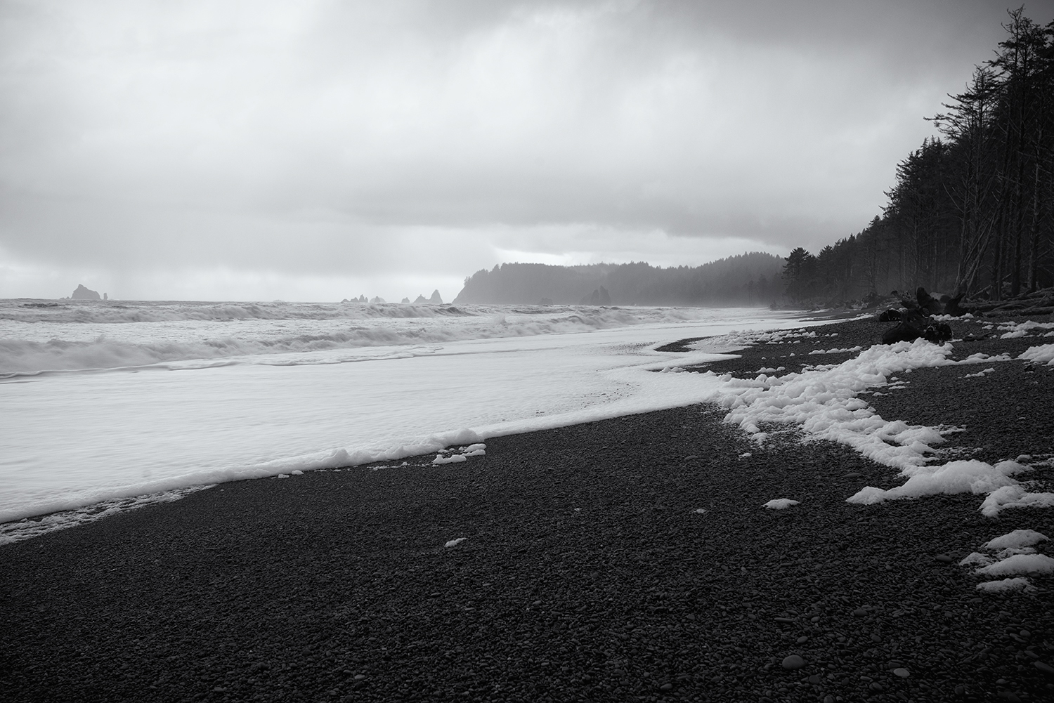 DSC_8596.jpg