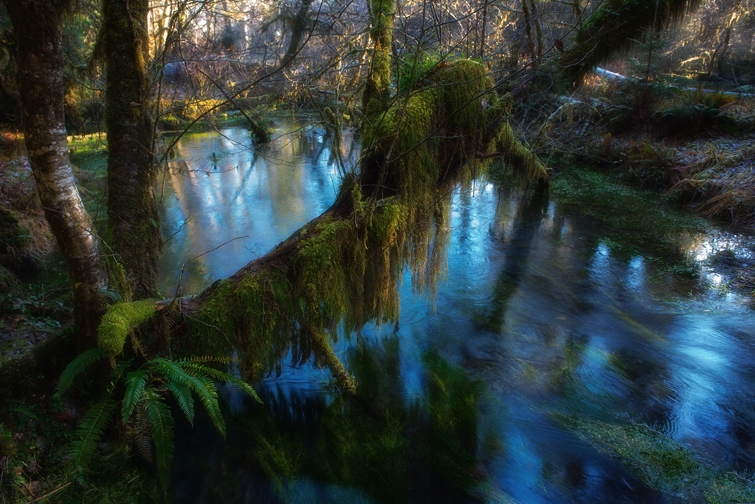 DSC_8687-2.jpg
