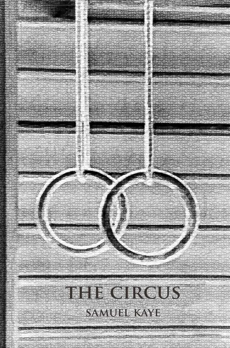 The-Circus-Cover-Art-with title copy.jpg