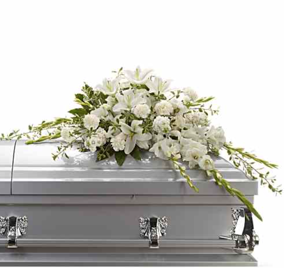 Screenshot 2026-03-11 at 7.23.04 PM.png