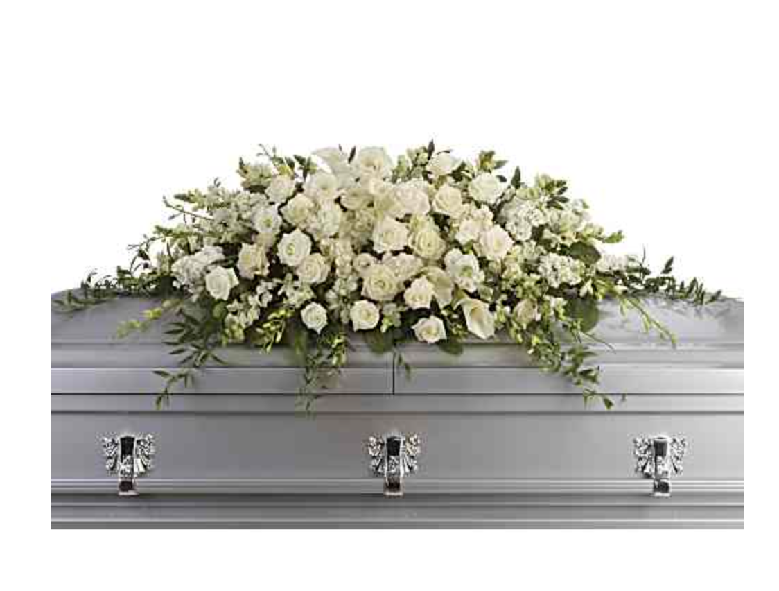 Screenshot 2026-03-11 at 7.47.45 PM.png