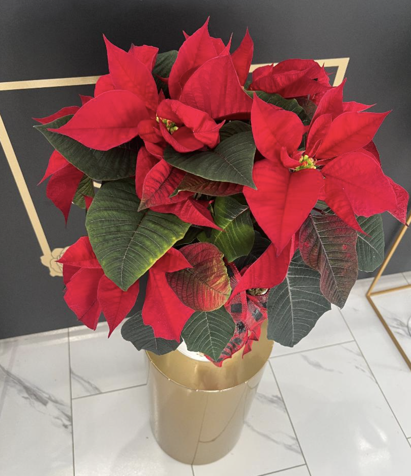 Screen Shot 2025-12-02 at 1.09.06 PM.png