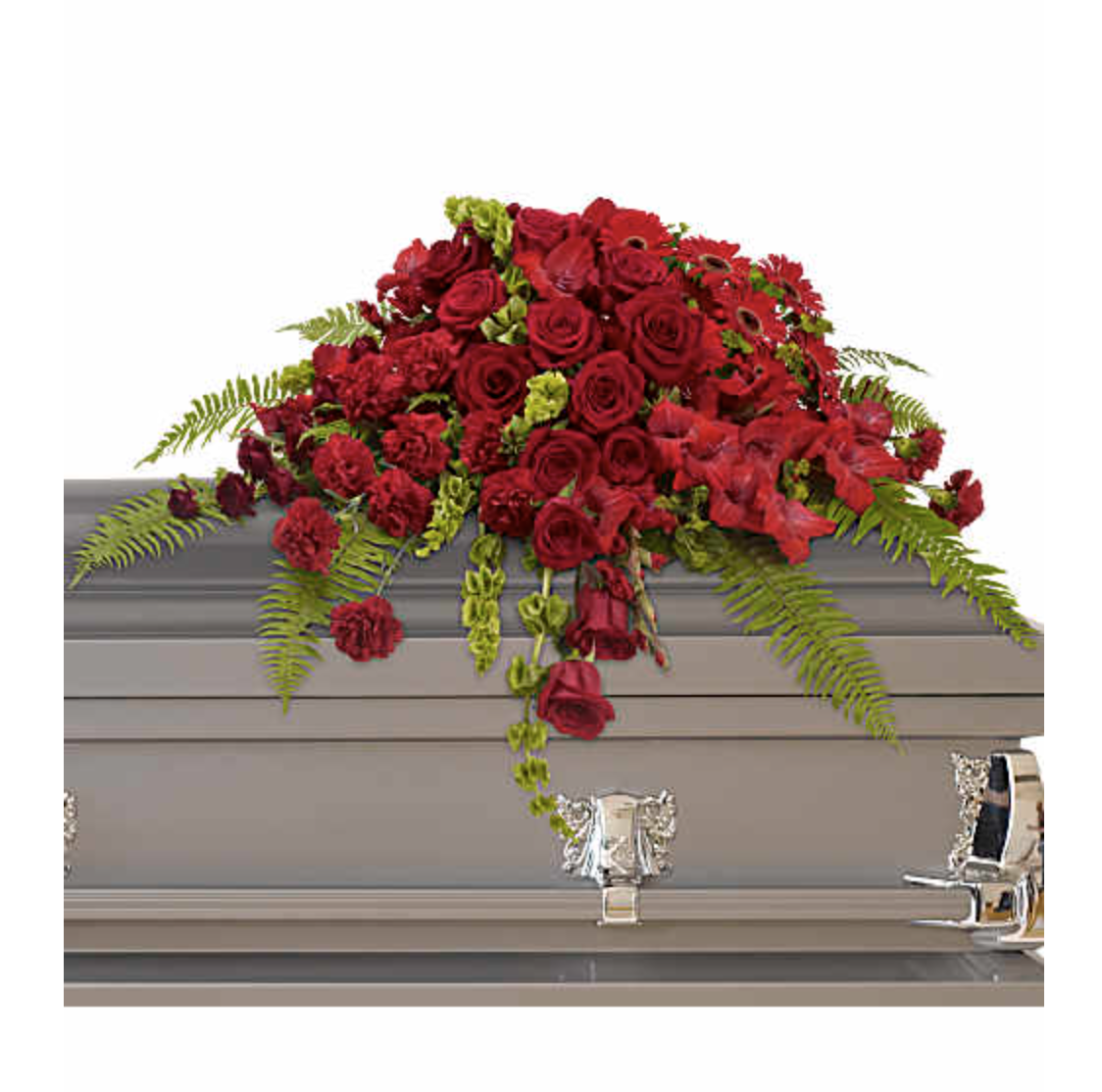 Screenshot 2026-03-11 at 7.39.34 PM.png