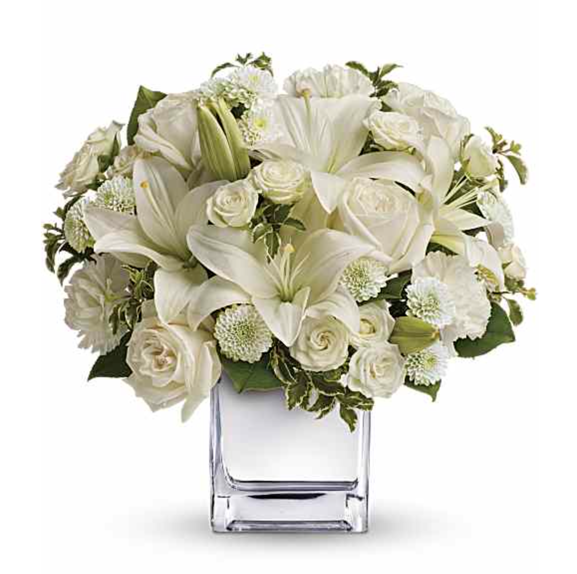 Screenshot 2026-03-07 at 2.05.01 PM.png