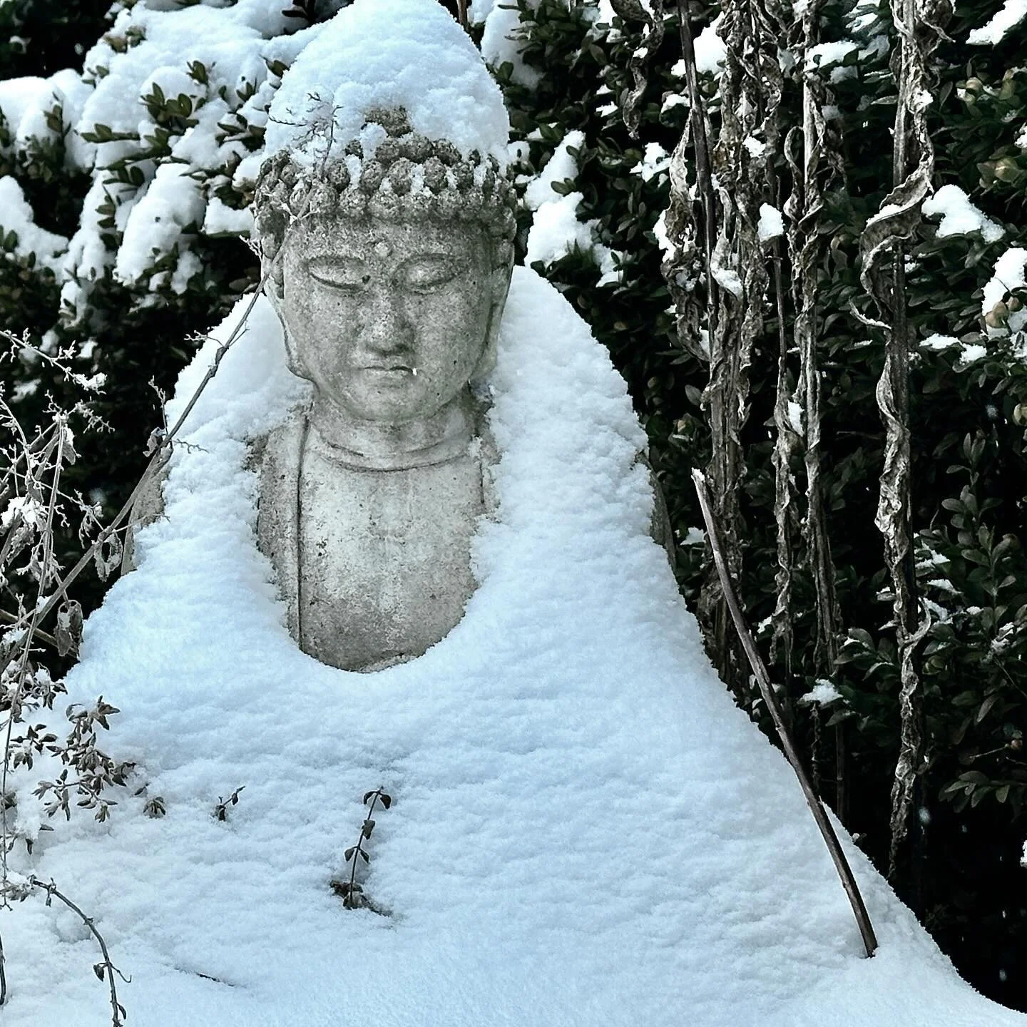 Snow Day in Fort Wayne. Love the peacefulness of a fresh snow. I also get a chance to spend the day with the kiddos sledding in the yard! Win/Win