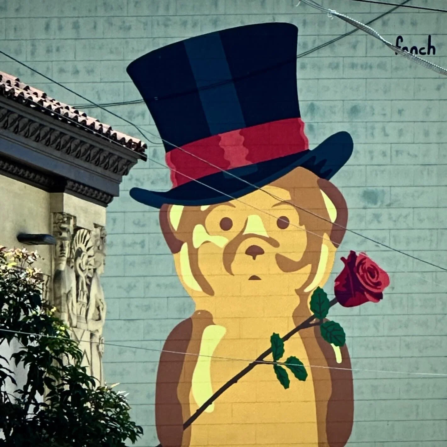 Random sights as I stroll through neighborhoods.