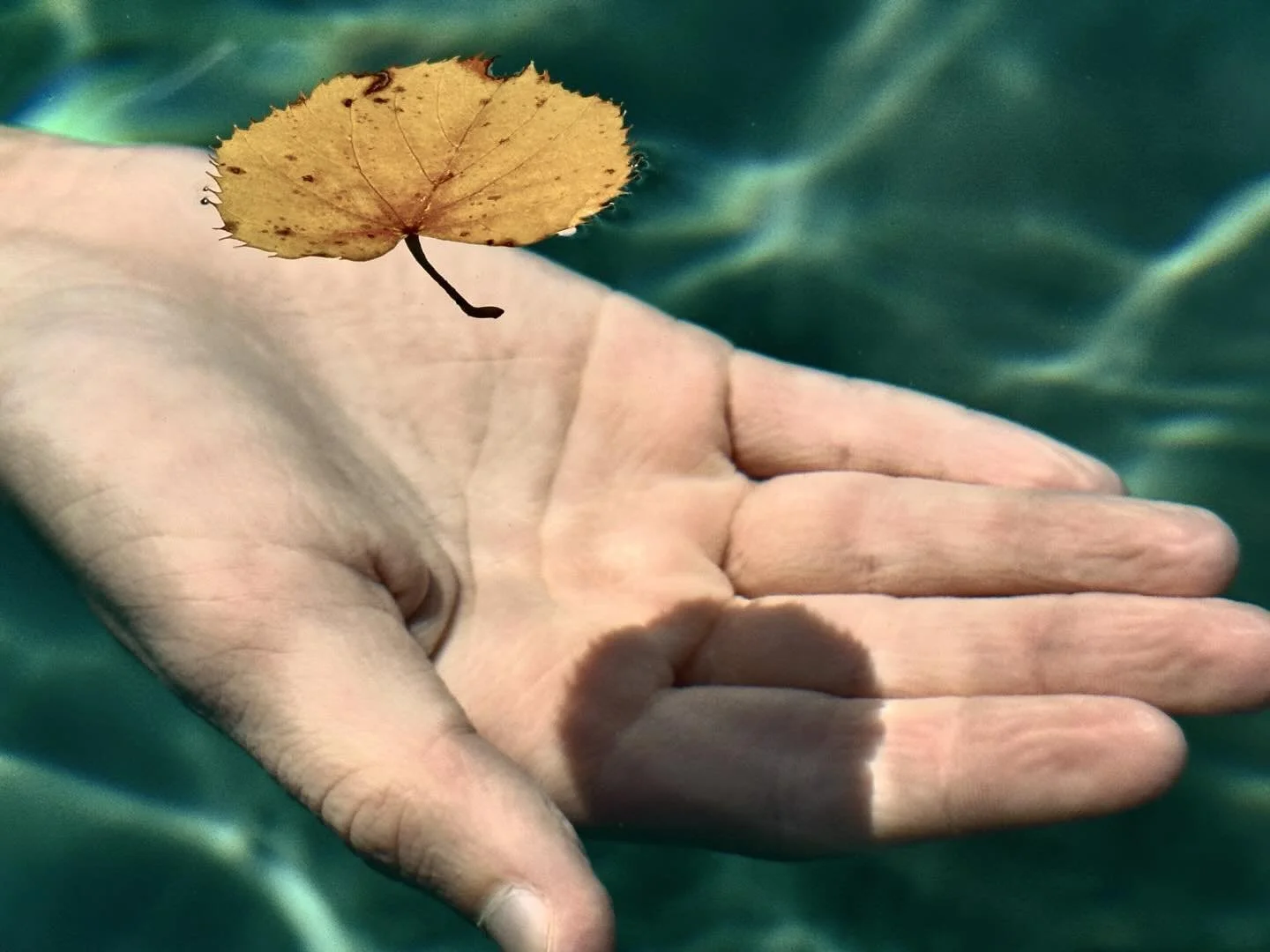 Pool with the kiddos