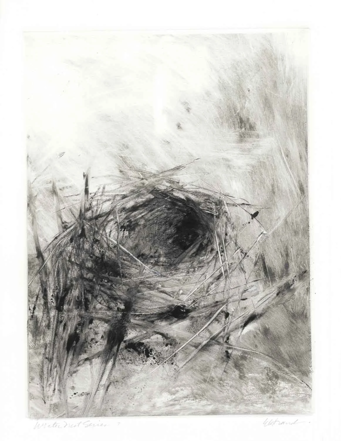 Winter Nest Series #7