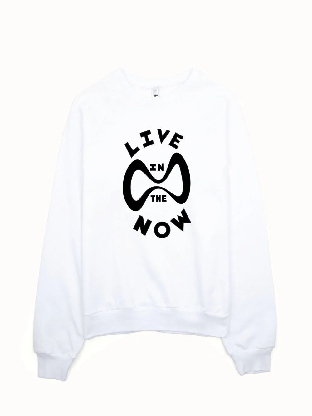 american apparel__white_website mockup.jpg