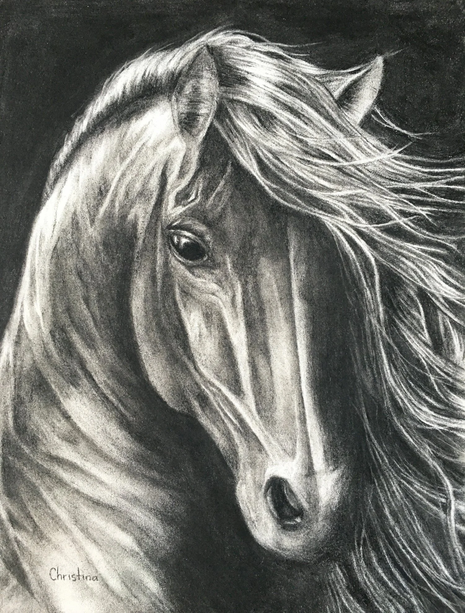  Andalusian - Charcoal 