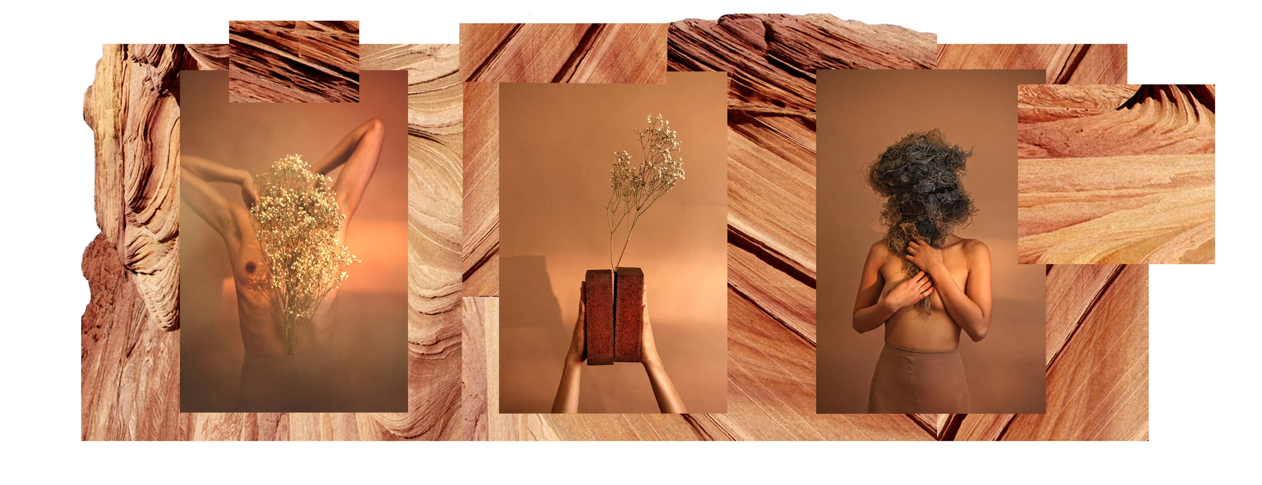 Desert_triptic (no censor).jpg