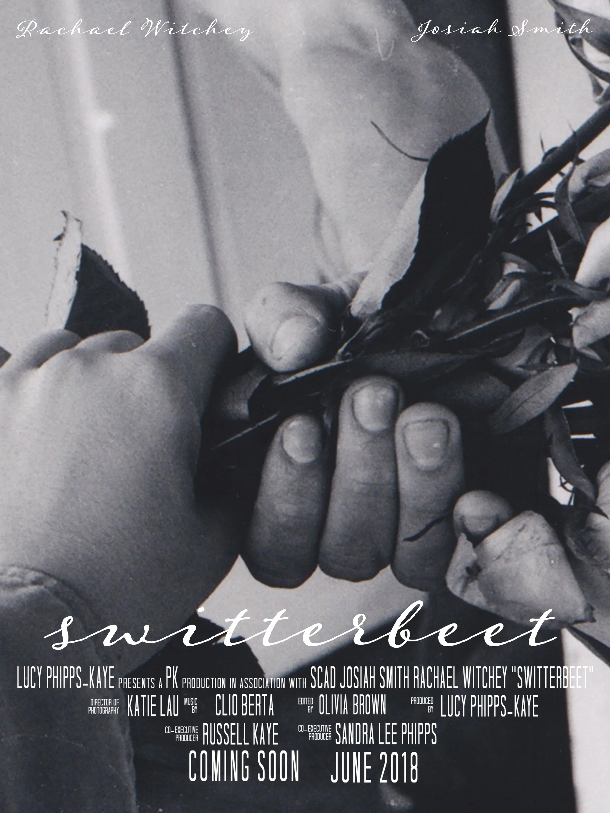 switterbeet_final_poster.jpg