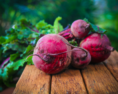 Blog graphic 500 x 400 Pickled beetroot jar fresh beetroot graphic.png