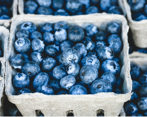 Blog graphic 500 x 400 Punnets of blueberries.png