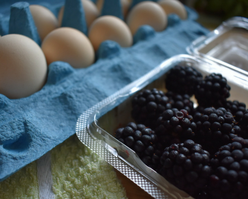 Blog graphic 500 x 400 Boysenberry Muffins 1.png