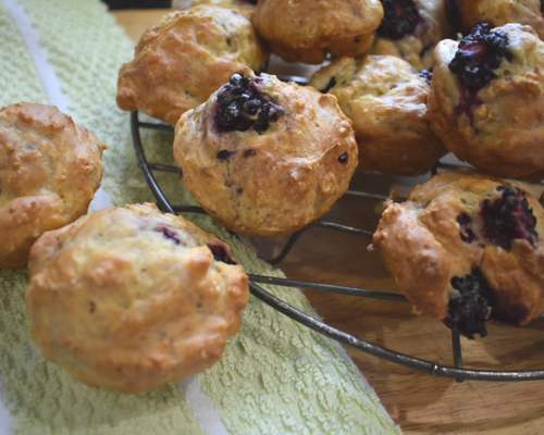 Blog graphic 500 x 400 Boysenberry Muffins Key image.png