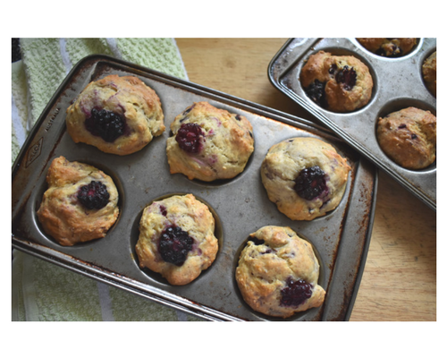 Blog graphic 500 x 400 Boysenberry Muffins Finished.png