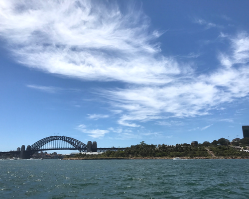 Sydney Harbour featuring Barangaroo Reserve and Sydney Harbour Bridge