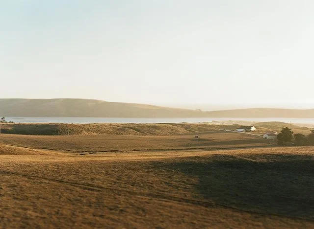 Warm, pastoral rolling hills of NorCal. #dillonbeach #bodegabay .
.
.
#contax #contax645 #landscapeonfilm #mediumformatfilm #nature #travelphotography #sunsetsonfilm #filmtones #farmlandscape